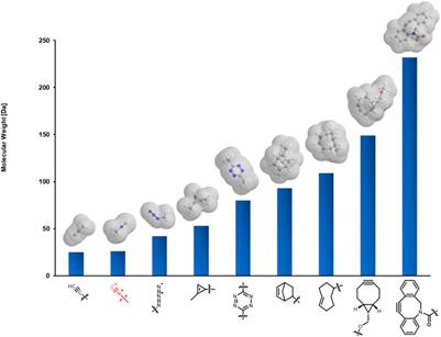 Isocyanides: Promising Functionalities in Bioorthogonal Labeling of Biomolecules